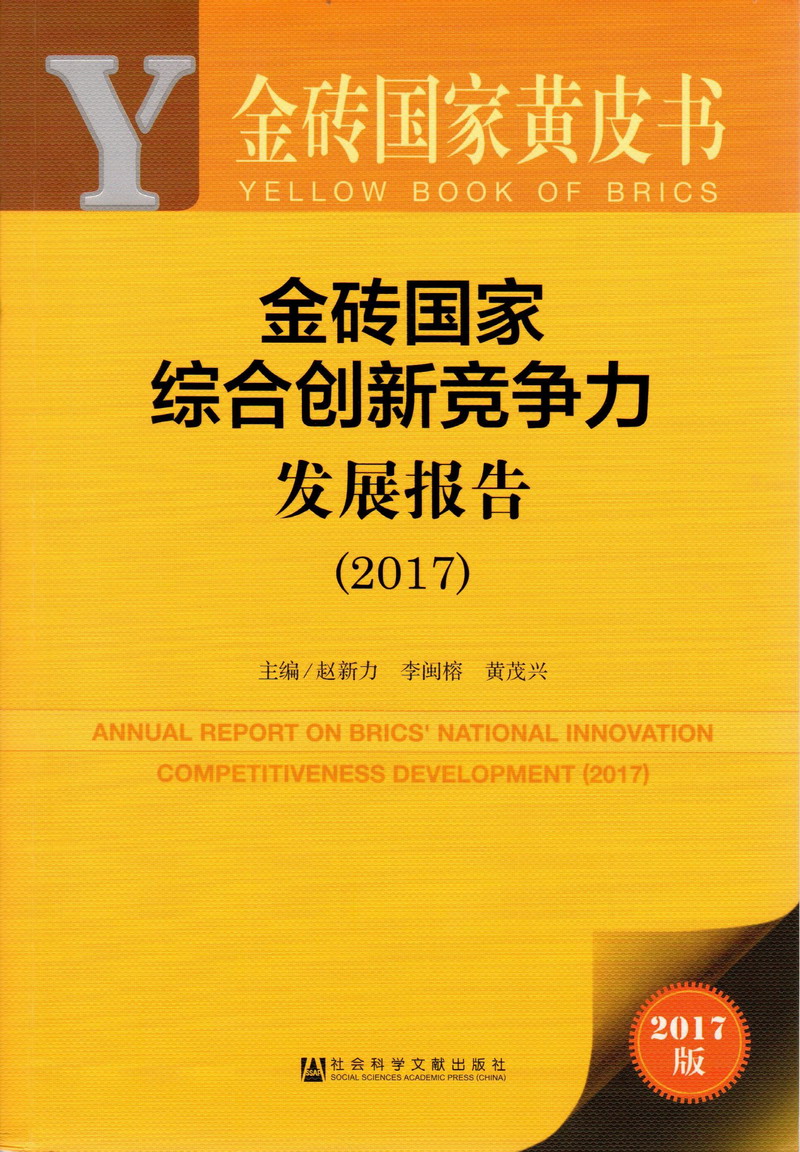 大鸡巴美女操逼黑丝美女操逼金砖国家综合创新竞争力发展报告（2017）